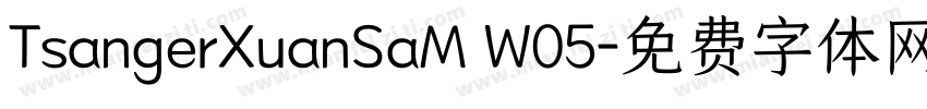 TsangerXuanSaM W05字体转换